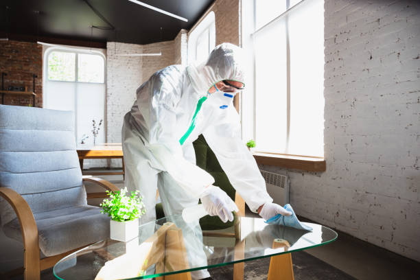 Best Emergency Mold Remediation  in Fort Bliss, TX