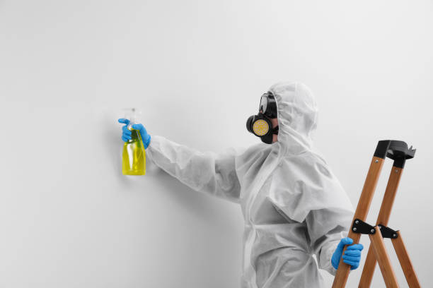 Best Comprehensive Air Testing for Mold Contaminants  in Fort Bliss, TX