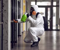 Best Mold Prevention Services  in Fort Bliss, TX